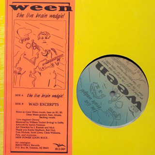 album cover of WAD Excerpts by Ween