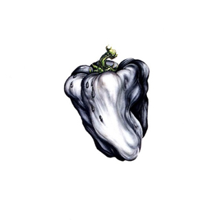 album cover of White Pepper by Ween